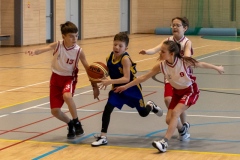 1_2020-03-08-0387