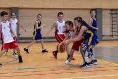 1_2020-03-08-0442