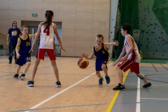 1_2020-03-08-0531