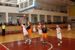 MG_5684